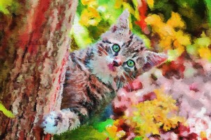Картина живописно платно с коте на дърво