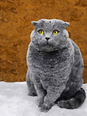 Картина коте британска късокосместта  